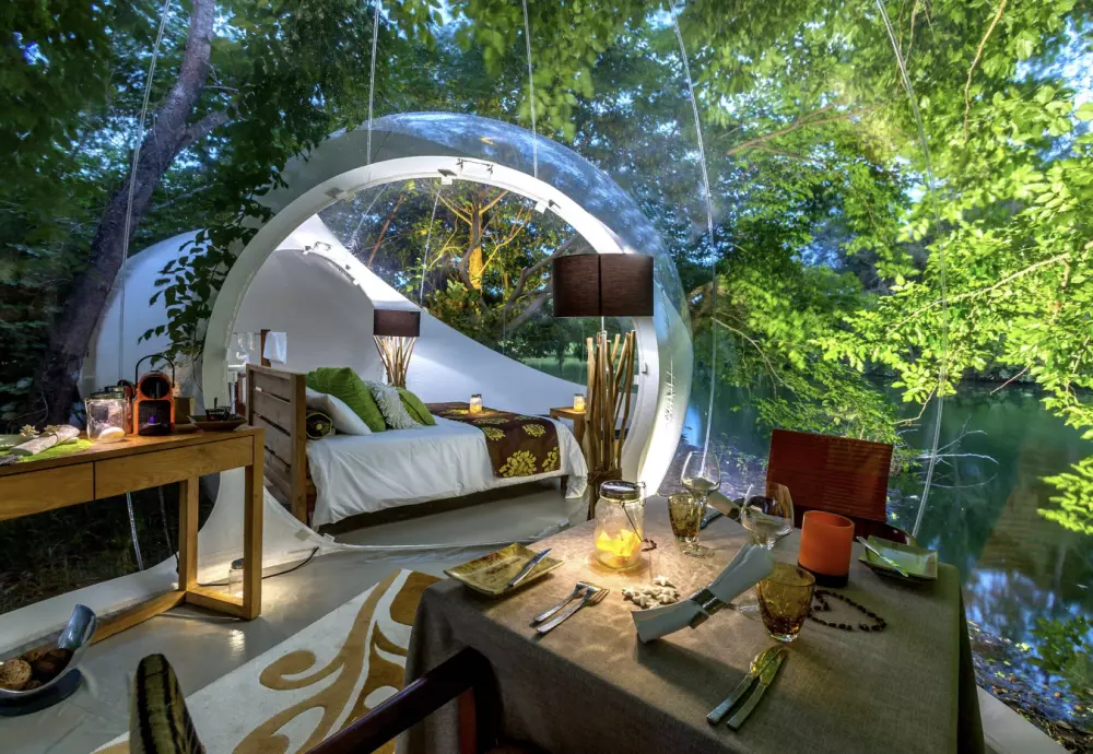 bubble tree tent buy